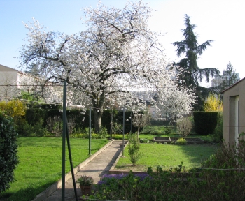 Location Maison avec jardin 7 pièces Thionville (57100)